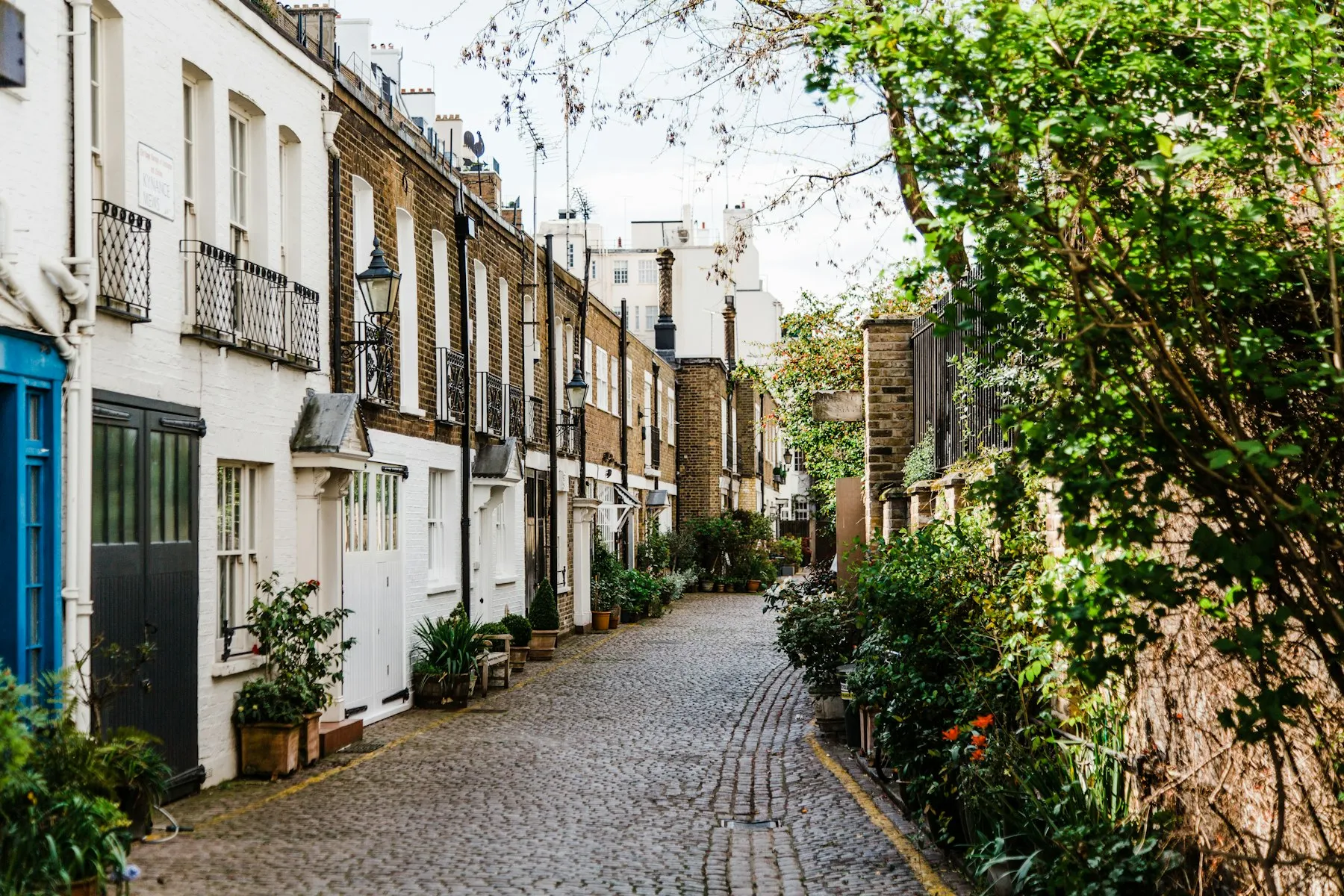 The cobbled mews, lined with painted houses, potted plants and a tree