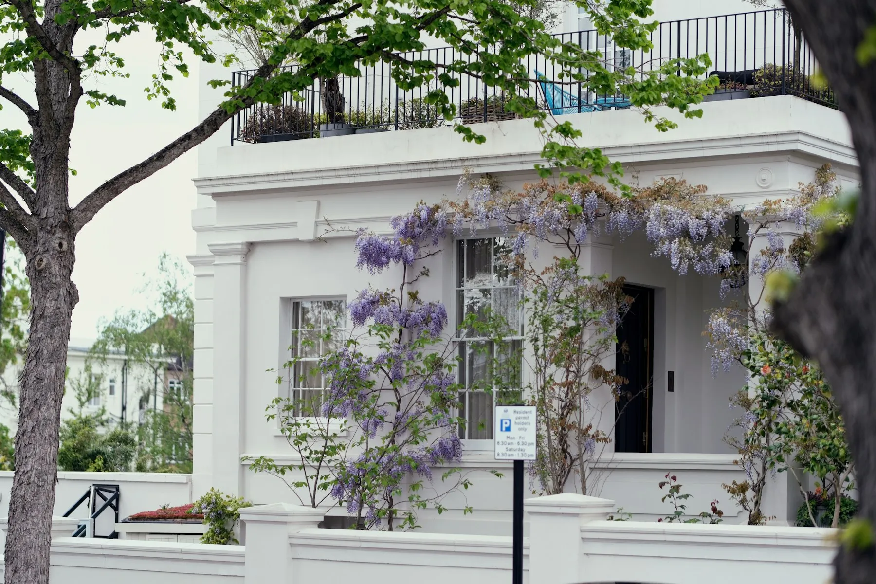 The white stucco front of the house, covered in flowering wisteria, behind iron railings