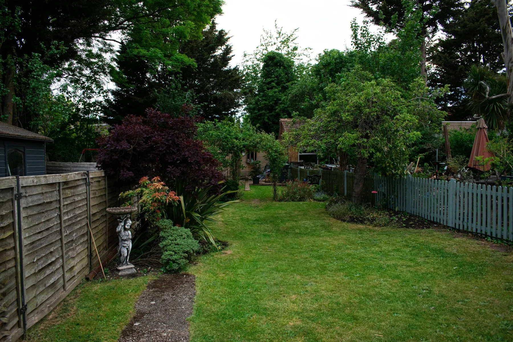The garden, a long lawn bordered by flowering shrubs
