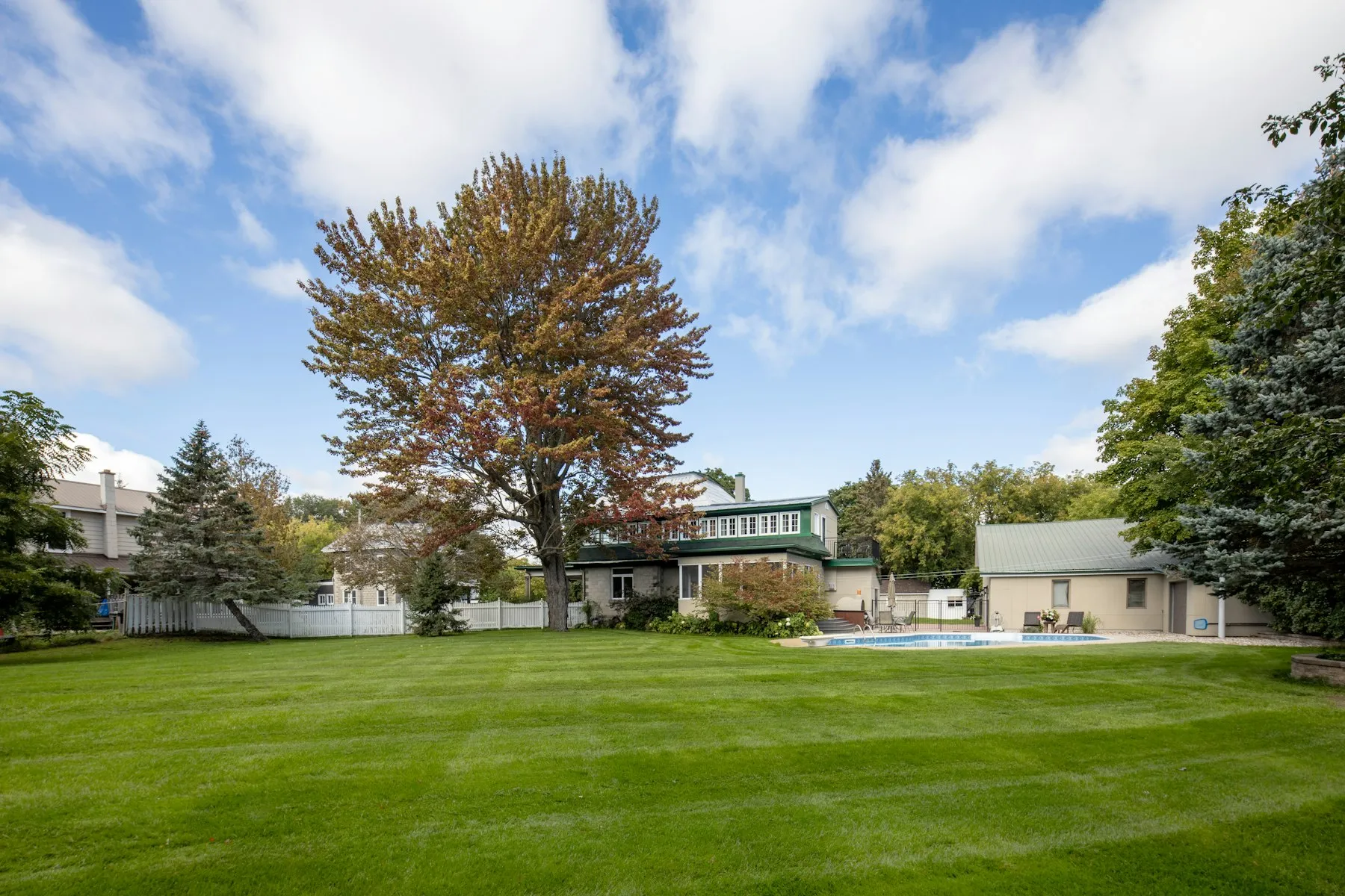 The rear garden, a long lawn framed by mature trees